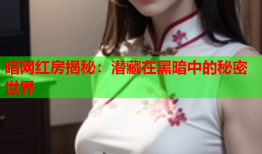 暗网红房揭秘：潜藏在黑暗中的秘密世界