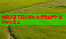 暗网禁区下载安装攻略揭秘全新体验等你来尝试