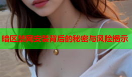 暗区禁网安装背后的秘密与风险揭示