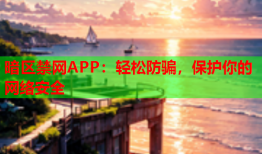 暗区禁网APP：轻松防骗，保护你的网络安全