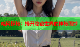 暗网探秘：揭开隐藏世界的神秘面纱