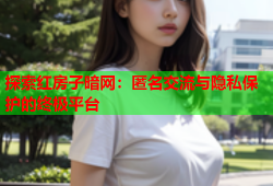 探索红房子暗网：匿名交流与隐私保护的终极平台