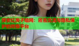 探索红房子暗网：匿名交流与隐私保护的终极平台