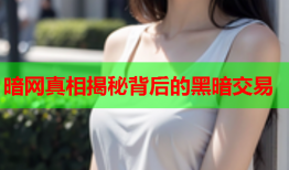 暗网真相揭秘背后的黑暗交易