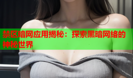 禁区暗网应用揭秘：探索黑暗网络的神秘世界