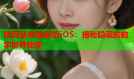 暗网禁地破解版iOS：揭秘隐藏的数字世界秘密