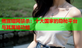 揭露暗网禁杀：十大国家的隐秘平台与其黑暗功能