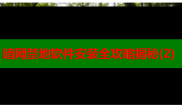 暗网禁地软件安装全攻略揭秘(2)