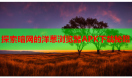 探索暗网的洋葱浏览器APK下载秘籍