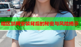 暗区禁网安装背后的秘密与风险揭示