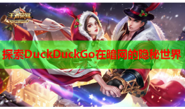 探索DuckDuckGo在暗网的隐秘世界