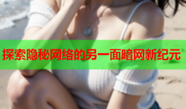 探索隐秘网络的另一面暗网新纪元