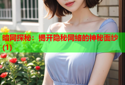 暗网探秘：揭开隐秘网络的神秘面纱(1)