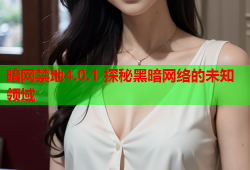 暗网禁地4.0.1 探秘黑暗网络的未知领域