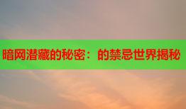 暗网潜藏的秘密：的禁忌世界揭秘