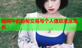 暗网中的隐秘交易与个人信息泄露危机