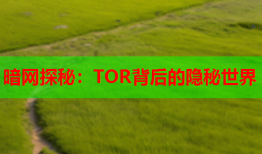 暗网探秘：TOR背后的隐秘世界