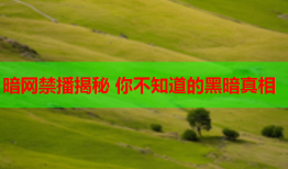 暗网禁播揭秘 你不知道的黑暗真相