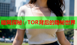 暗网探秘：TOR背后的隐秘世界