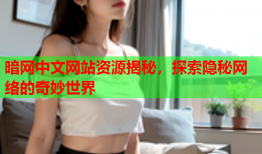 暗网中文网站资源揭秘，探索隐秘网络的奇妙世界