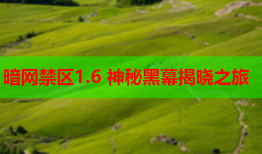 暗网禁区1.6 神秘黑幕揭晓之旅