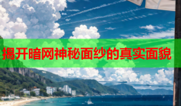 揭开暗网神秘面纱的真实面貌