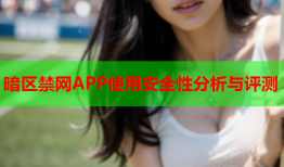 暗区禁网APP使用安全性分析与评测