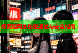 探索暗网的秘密通道与安全指南