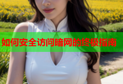 如何安全访问暗网的终极指南