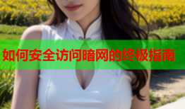 如何安全访问暗网的终极指南