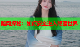 暗网探秘：如何安全进入隐藏世界