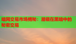 暗网交易市场揭秘：潜藏在黑暗中的秘密交易