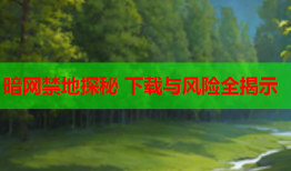 暗网禁地探秘 下载与风险全揭示