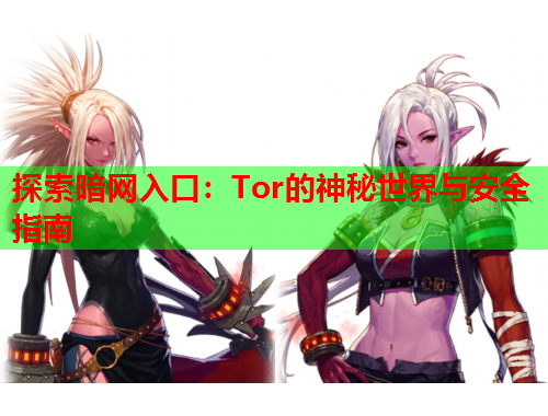 探索暗网入口：Tor的神秘世界与安全指南