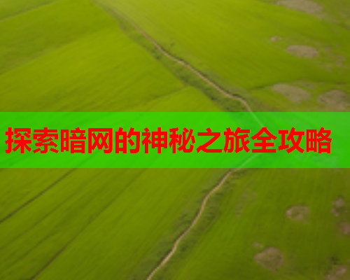 探索暗网的神秘之旅全攻略