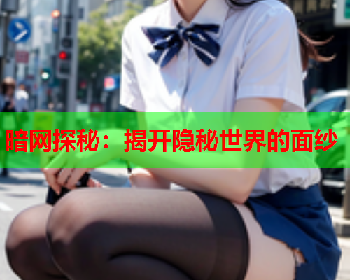 暗网探秘：揭开隐秘世界的面纱