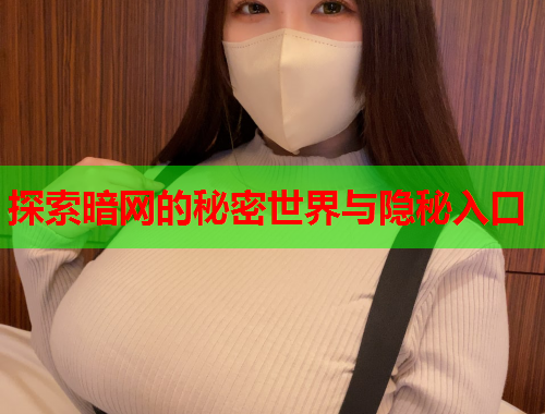 探索暗网的秘密世界与隐秘入口