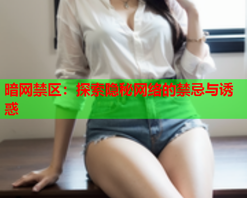 暗网禁区：探索隐秘网络的禁忌与诱惑