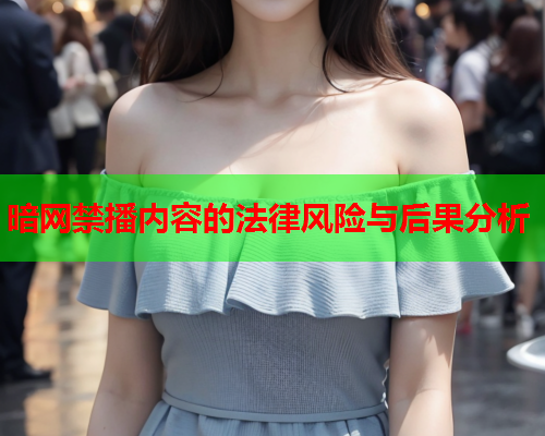 暗网禁播内容的法律风险与后果分析