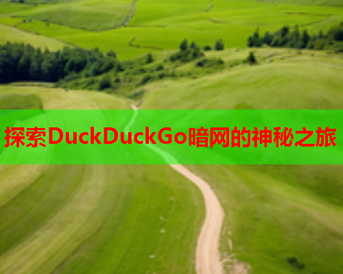 探索DuckDuckGo暗网的神秘之旅