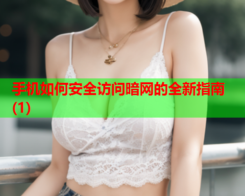 手机如何安全访问暗网的全新指南(1)