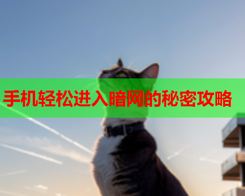 手机轻松进入暗网的秘密攻略