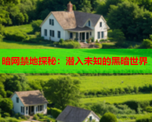 暗网禁地探秘：潜入未知的黑暗世界