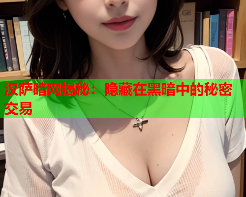 汉萨暗网揭秘：隐藏在黑暗中的秘密交易