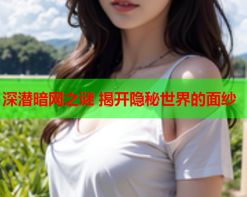 深潜暗网之谜 揭开隐秘世界的面纱