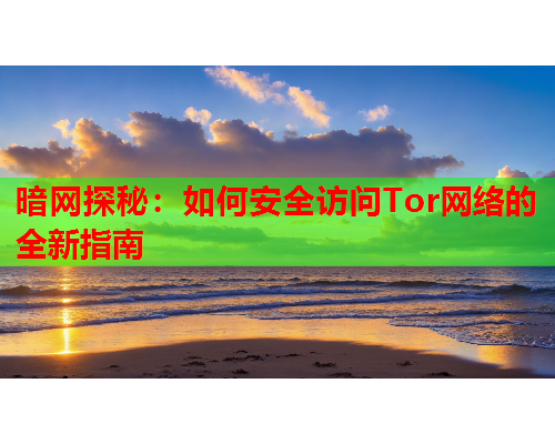 暗网探秘：如何安全访问Tor网络的全新指南