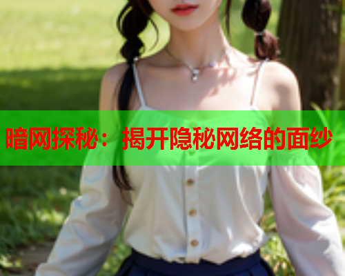 暗网探秘：揭开隐秘网络的面纱