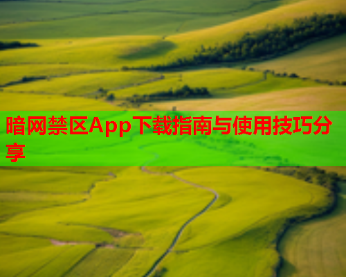 暗网禁区App下载指南与使用技巧分享