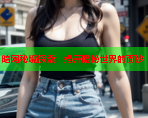 暗网秘境探索：揭开隐秘世界的面纱