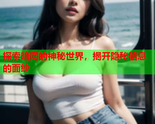 探索暗网的神秘世界，揭开隐秘信息的面纱